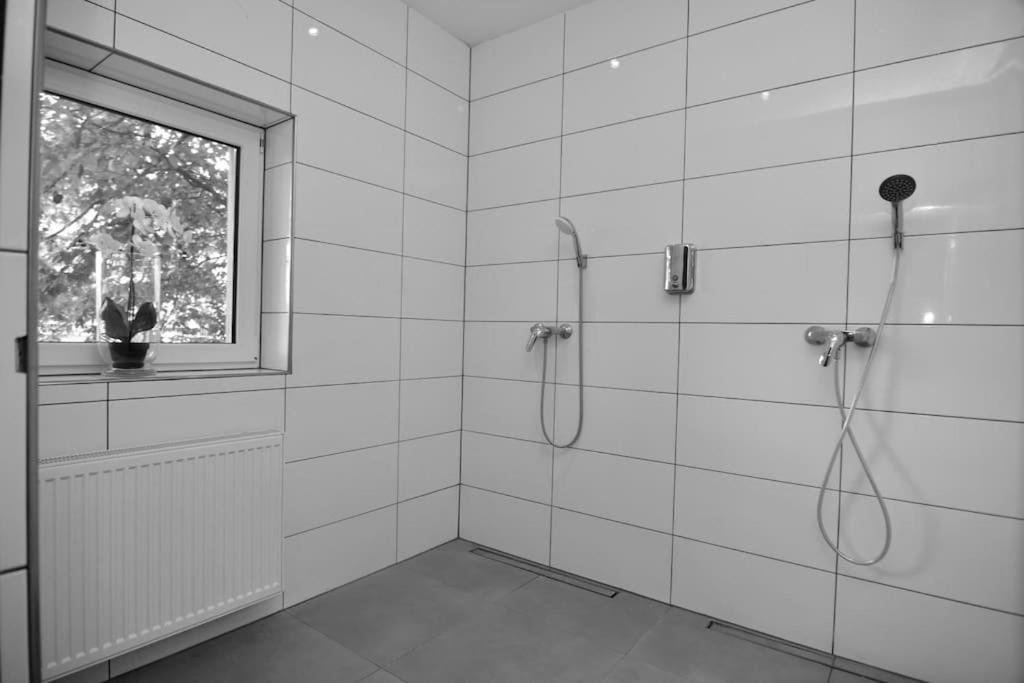 Fetischhaus Sm Apartment/Ferienwohnung Wiesbaden Dış mekan fotoğraf
