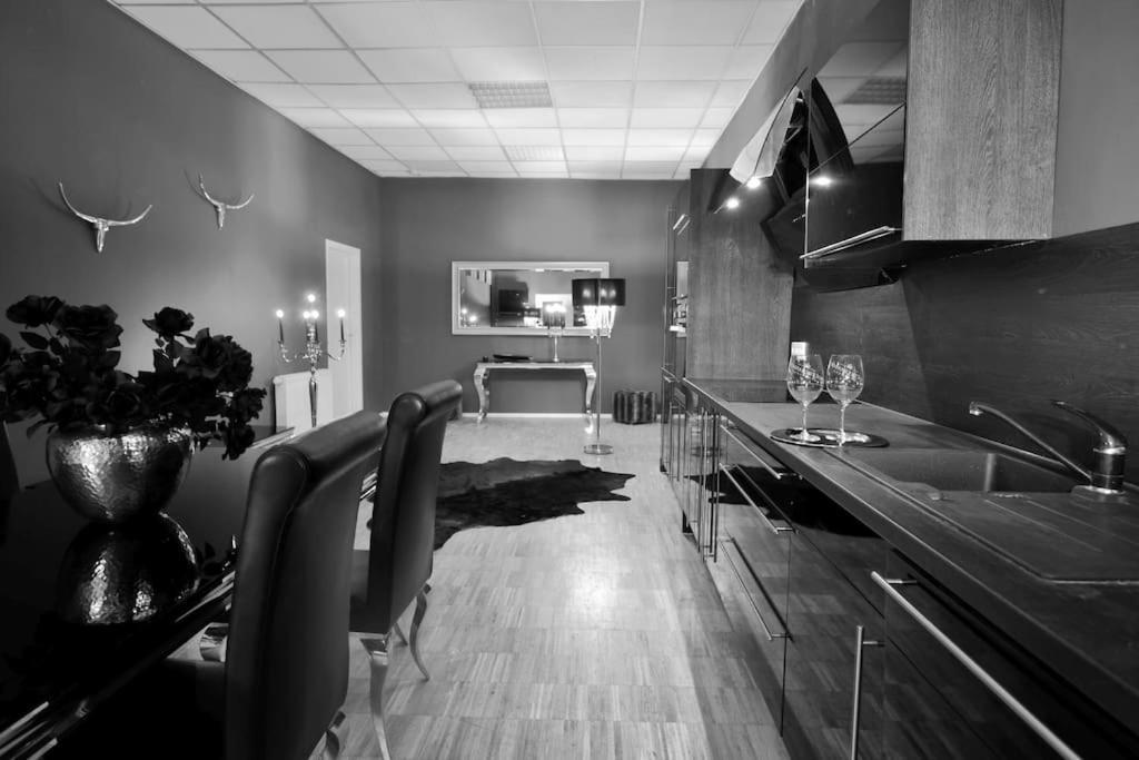 Fetischhaus Sm Apartment/Ferienwohnung Wiesbaden Dış mekan fotoğraf